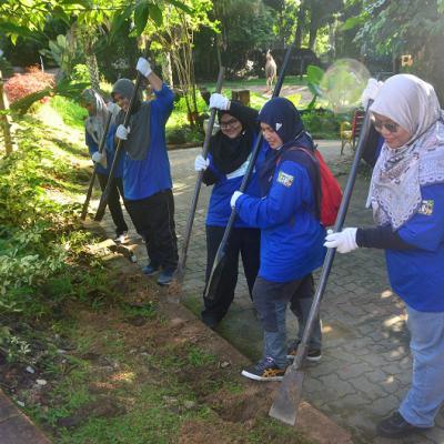 Prokhas Green Day 11