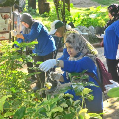 Prokhas Green Day 12