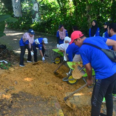 Prokhas Green Day 13