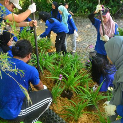 Prokhas Green Day 15