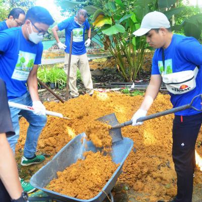 Prokhas Green Day 8