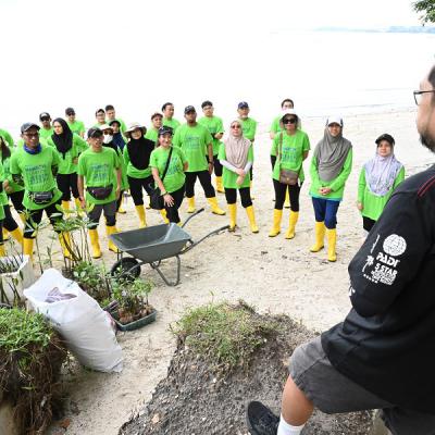 Mangrove Planting Beach Cleaning 003