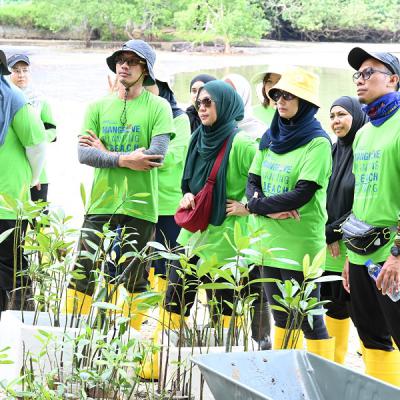 Mangrove Planting Beach Cleaning 004