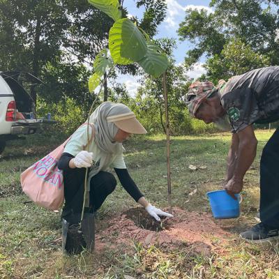 Tree Planting 10