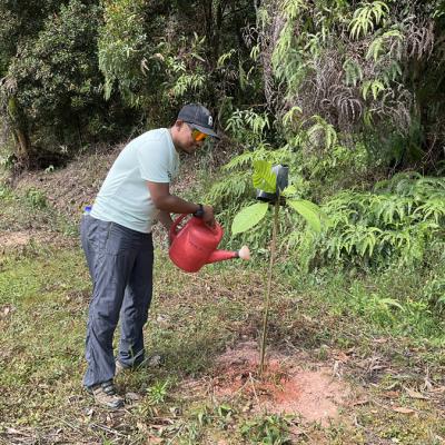 Tree Planting 12