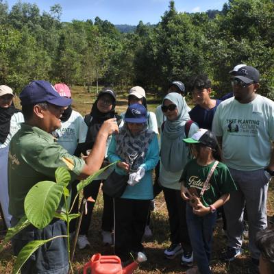 Tree Planting 4