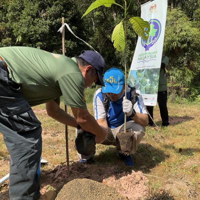 Tree Planting 5