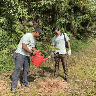 Tree Planting 7