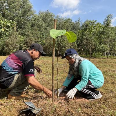 Tree Planting 9
